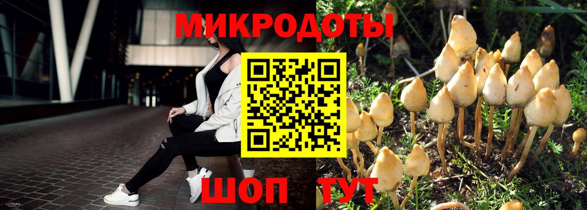 Псилоцибиновые грибы Magic Shrooms Звенигород